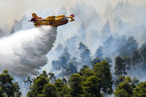 Clip: Rơi máy bay chữa cháy rừng ở Hy Lạp, 2 người thiệt mạng